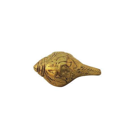Brass Shank Conch 0.12Kg